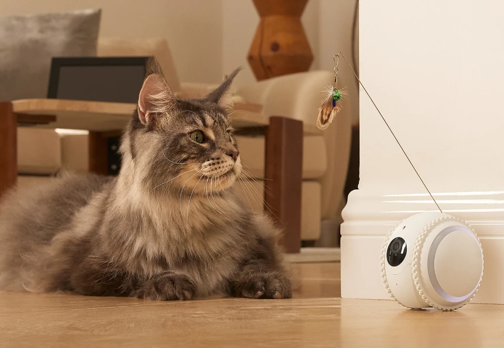 wireless pet camera system